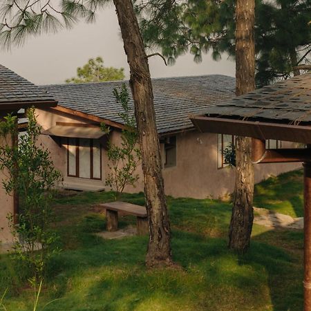 Amaya Kasauli Εξωτερικό φωτογραφία