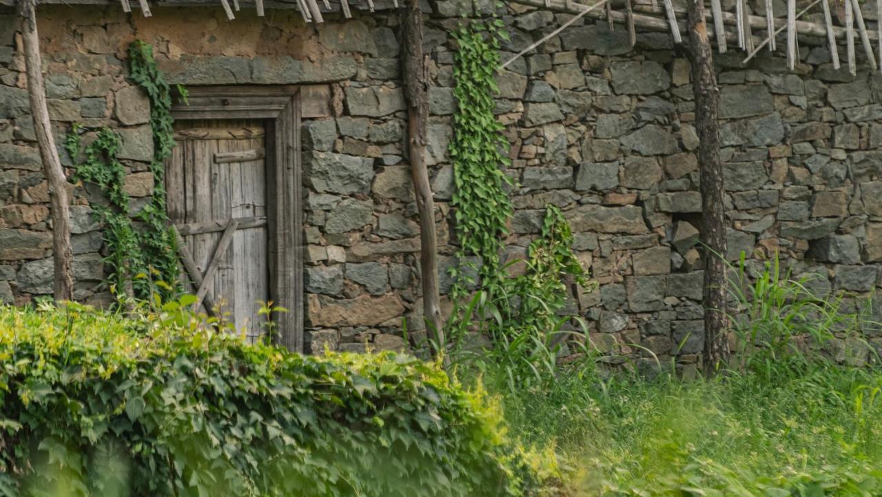 Amaya Kasauli Εξωτερικό φωτογραφία